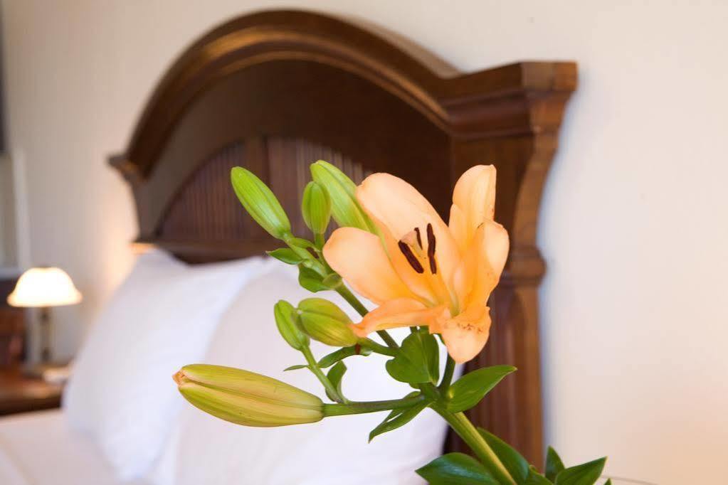 Adriatica Hotel Nikiana Extérieur photo